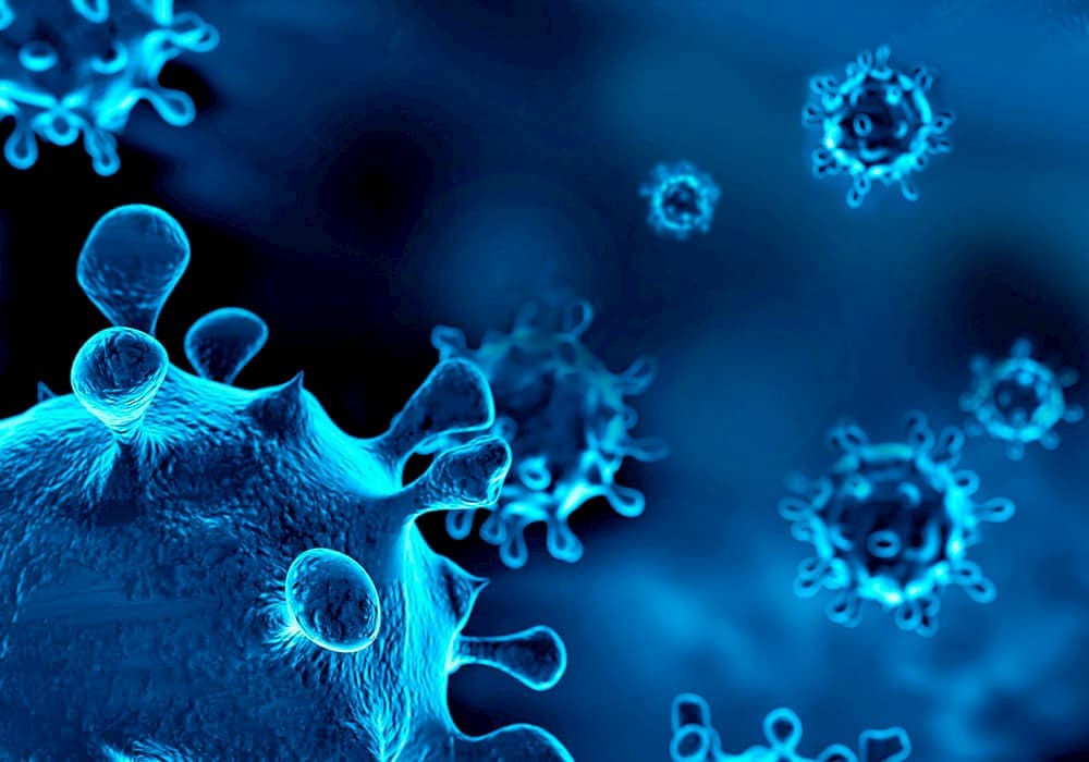 a acompanhe nosso blog post